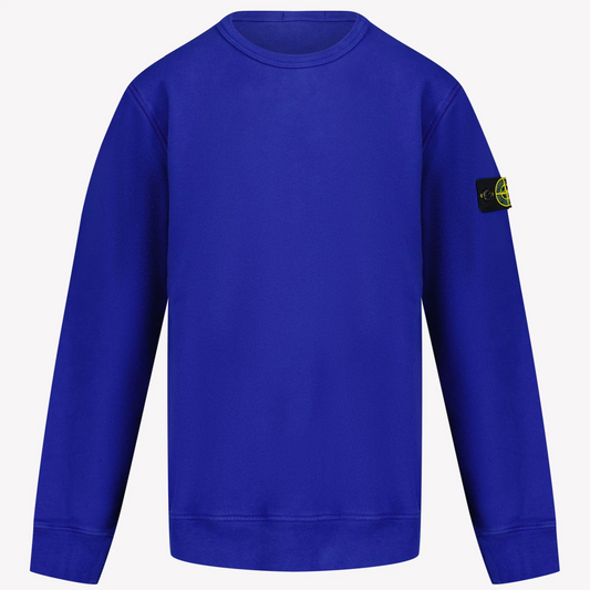 Stone Island V0022 Blue AW24 Sweatshirt