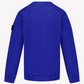 Stone Island V0022 Blue AW24 Sweatshirt