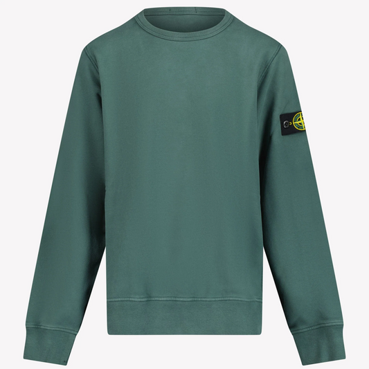 Stone Island V0057 Dark Green AW24 Sweatshirt