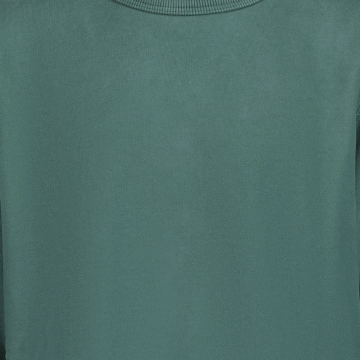 Stone Island V0057 Dark Green AW24 Sweatshirt