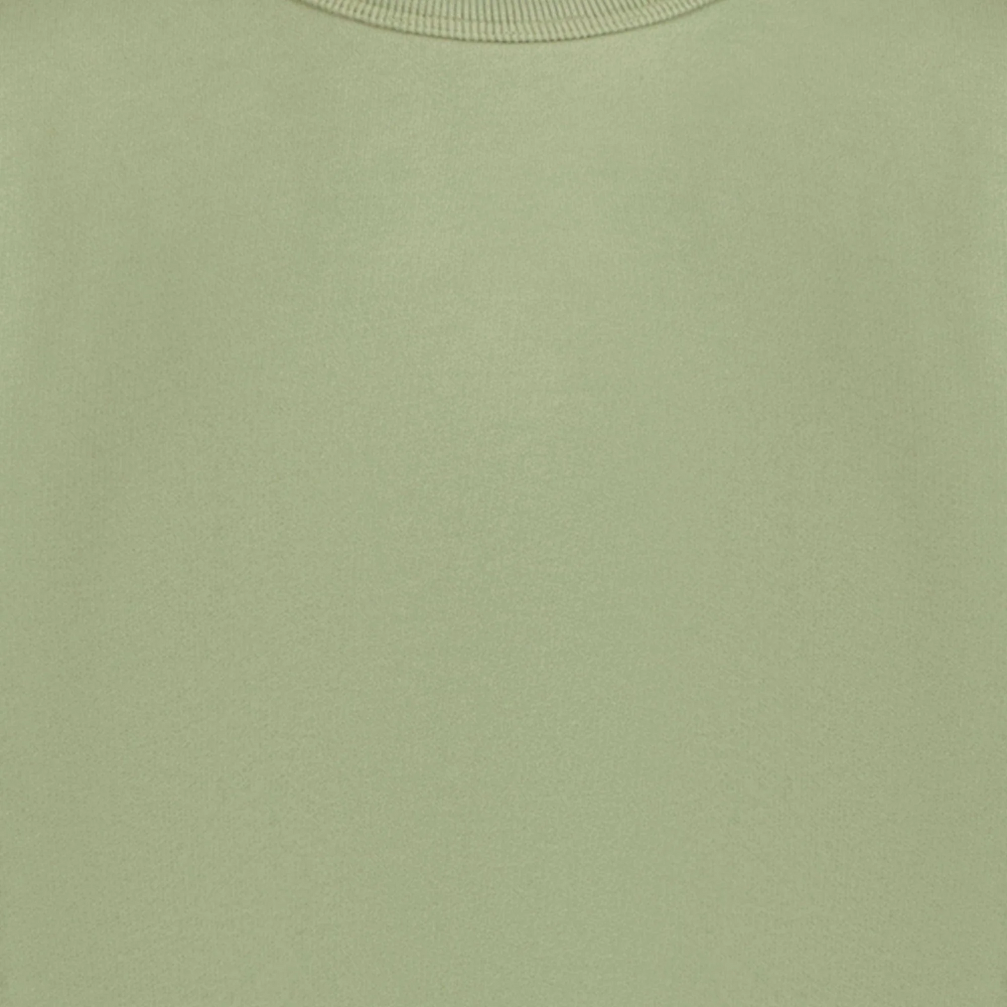 Stone Island V0055 Olive Green AW24 Sweatshirt