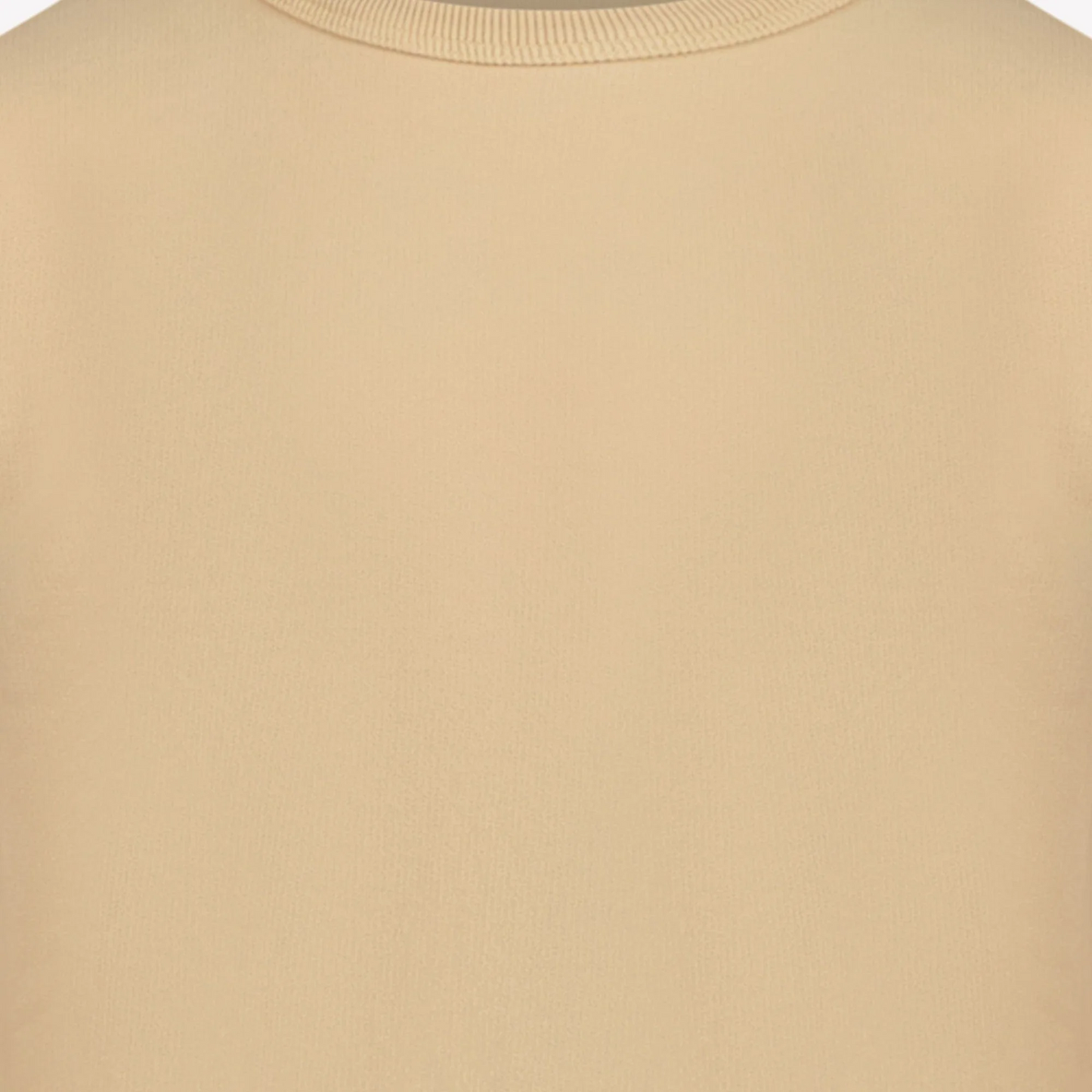 Stone Island V0091 Beige AW24 Sweatshirt