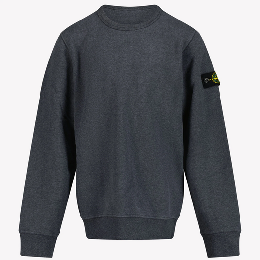 Stone Island V0M64 Grey AW24 Sweatshirt